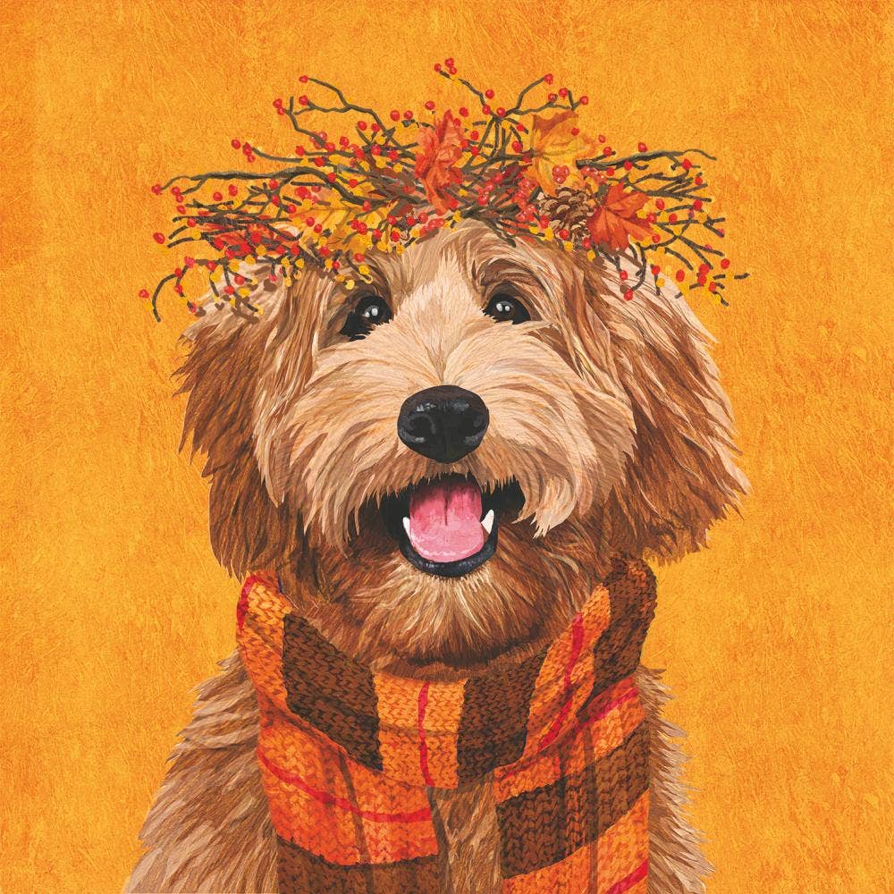 Paperproducts Design - BEV-DUDLEY