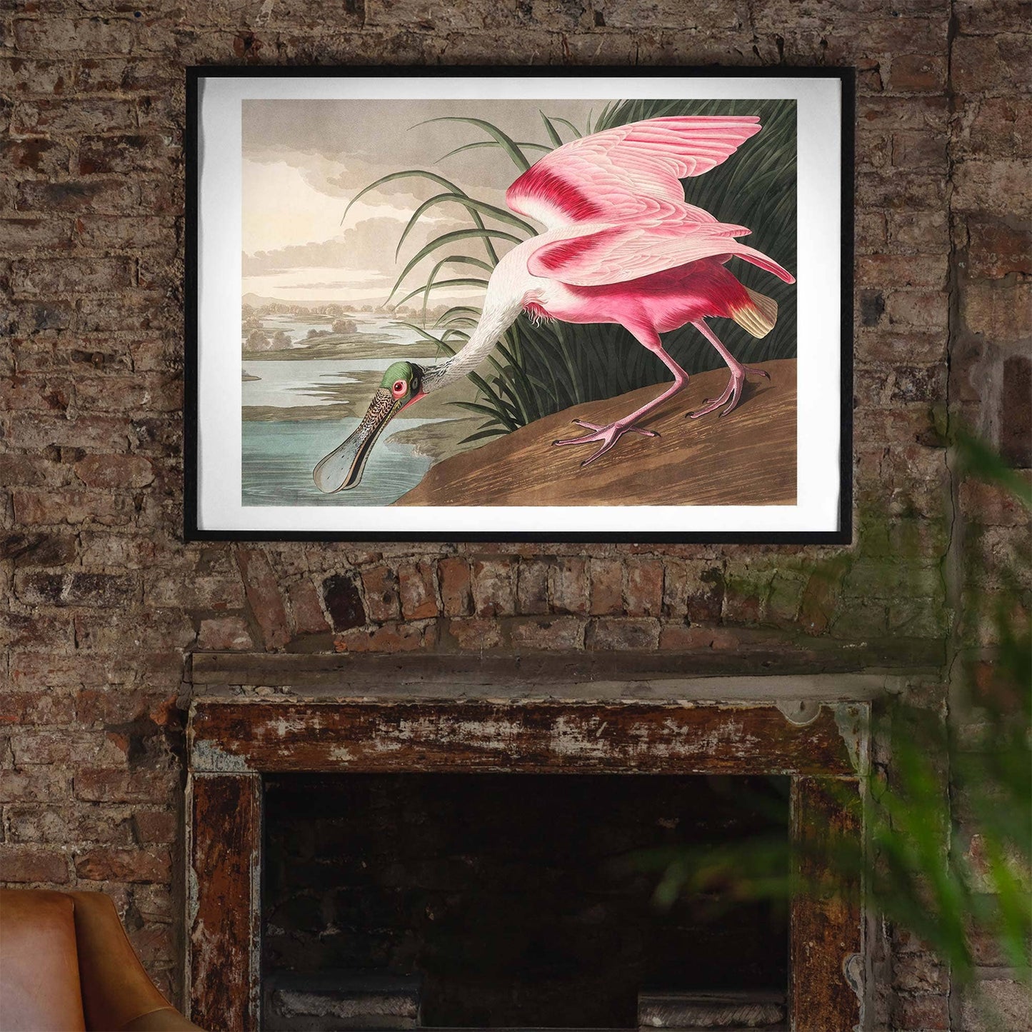 Ink & Drop - Spoonbill vintage print: 11 ¾ x 15 ¾ in | 30x40 cm / Matte
