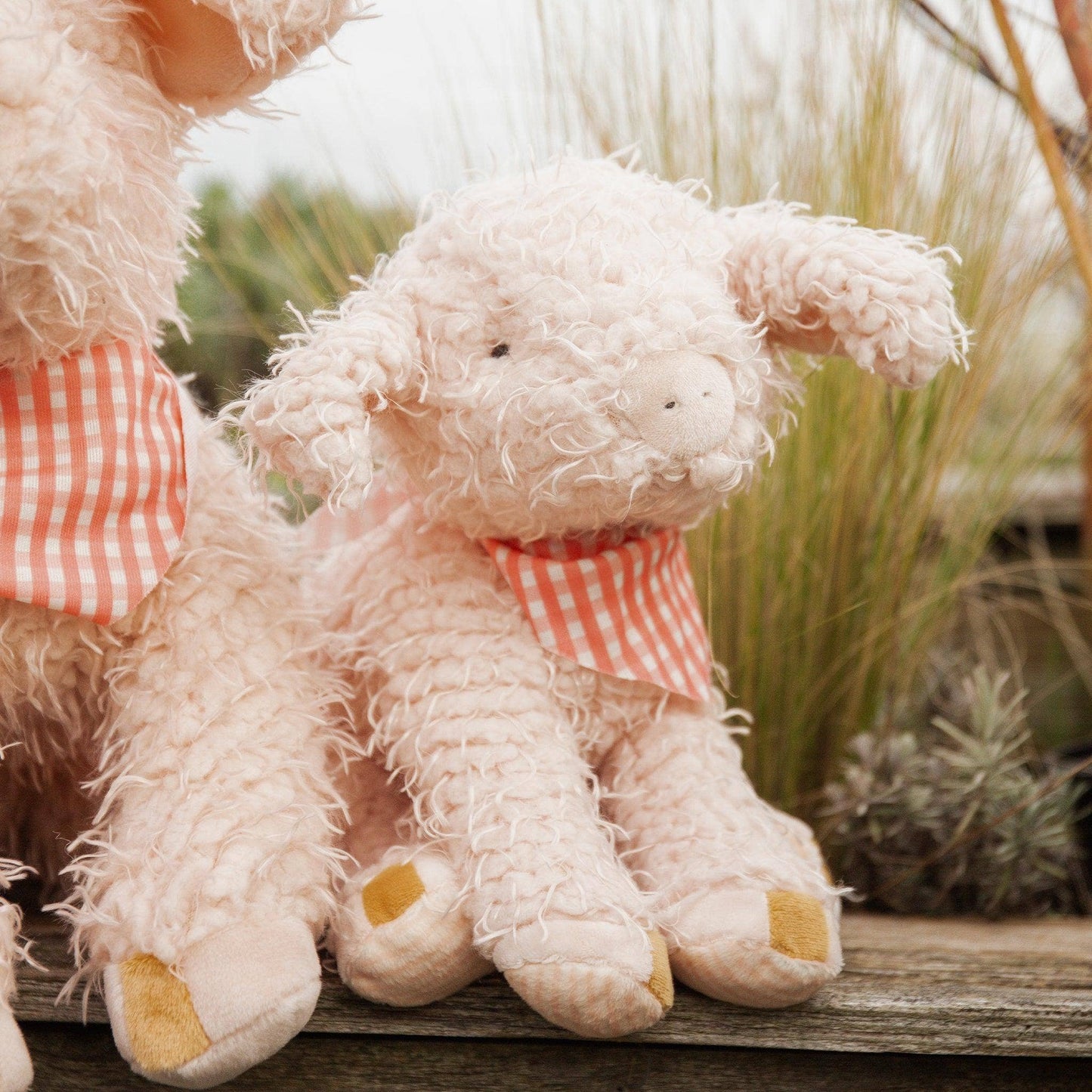 Bunnies By the Bay - Hammie the Pig