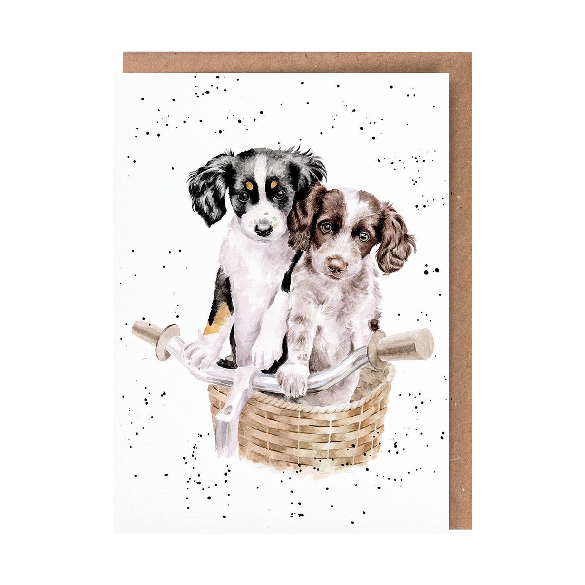 Wrendale Designs - Paws and Pedals - Single Card