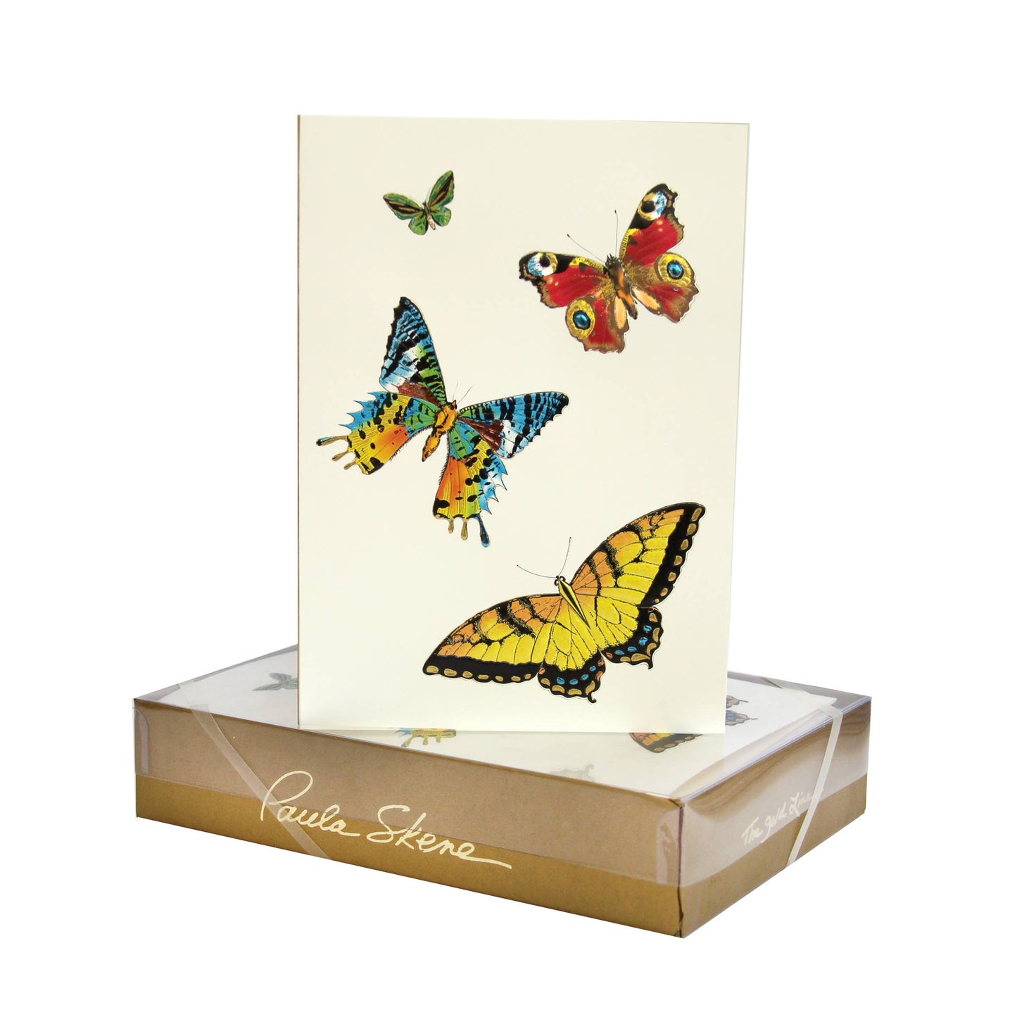 PAULA SKENE DESIGNS - Happy Butterflies Blank Card