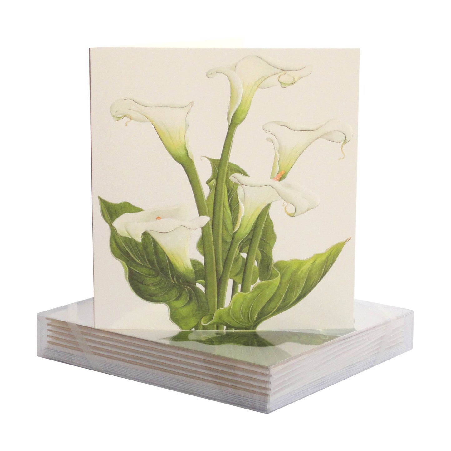 PAULA SKENE DESIGNS - Calla Lily Group Sympathy Card