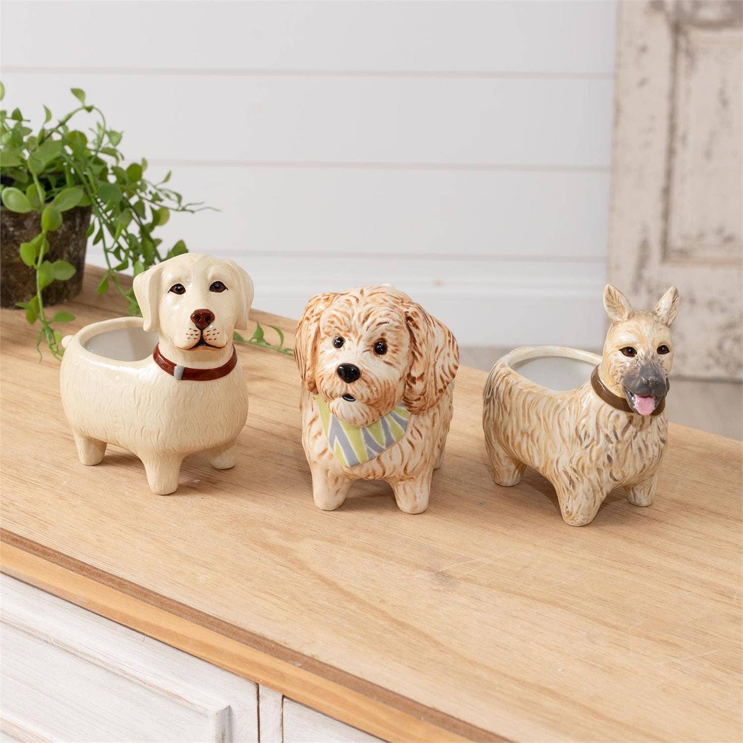 Audrey's Home & Gift - Bud vases - Doggies (Pk/03 Ast)