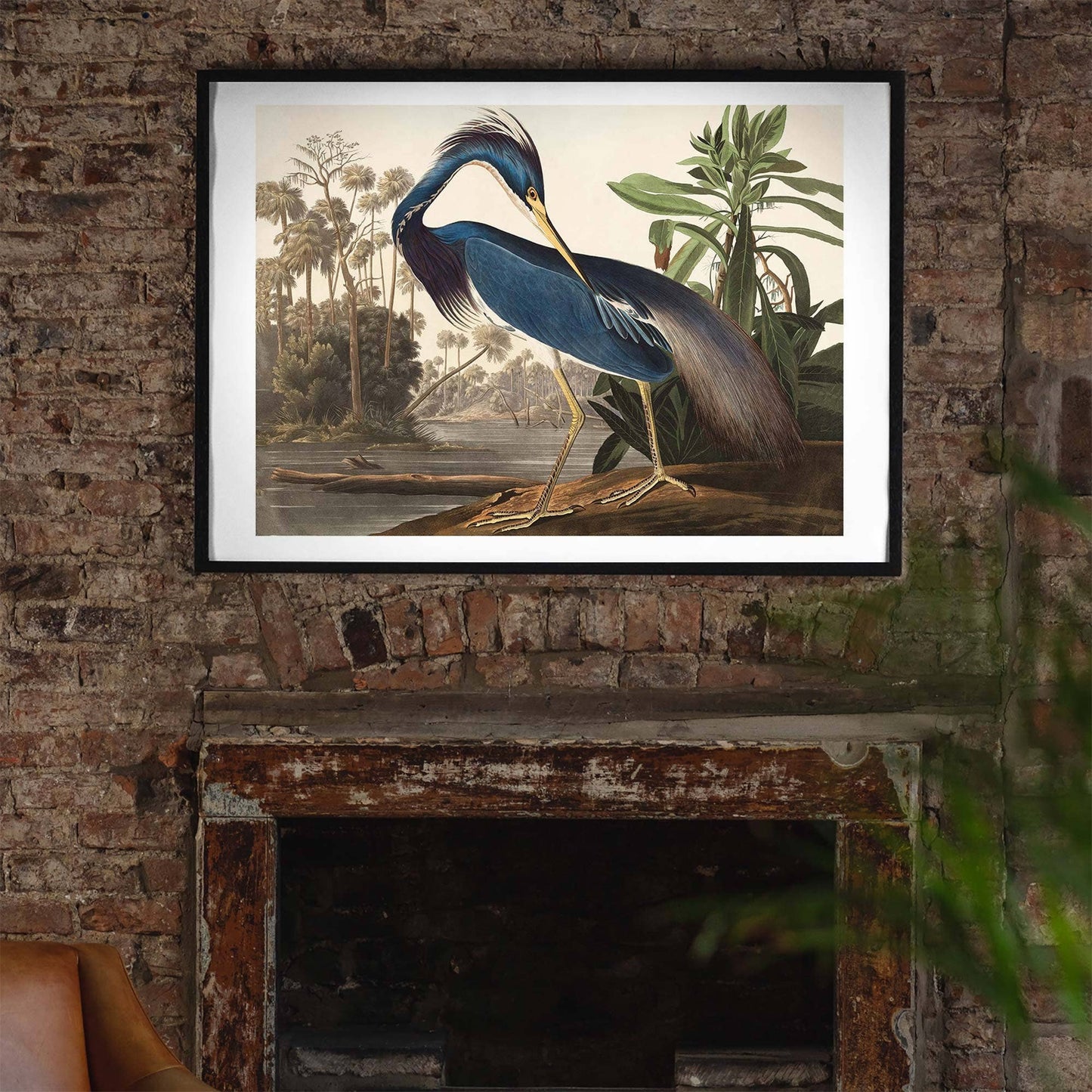 Ink & Drop - Louisiana Heron print: 11 ¾ x 15 ¾ in | 30x40 cm / Matte