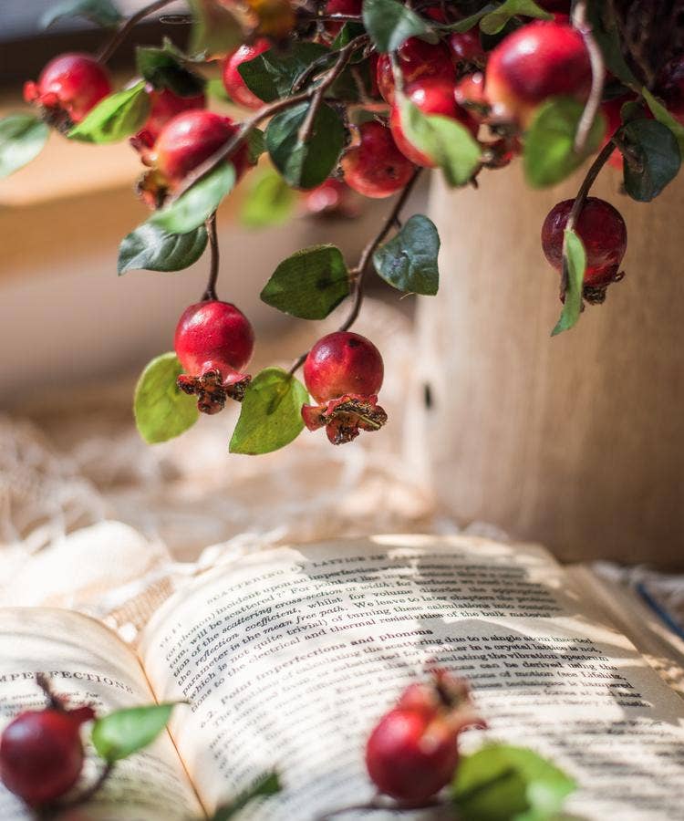 Rustic Reach - Artificial Fruit Pomegranate Fruit Bouquet 12" Tall: One Bouquet