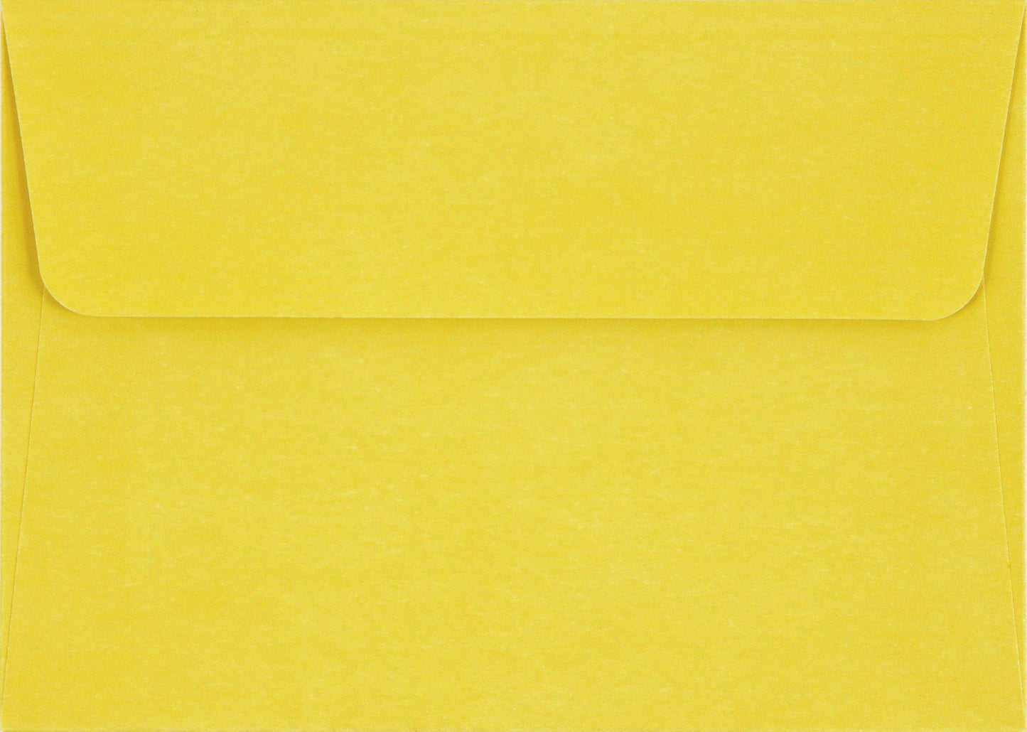 Peter Pauper Press - Tiffany Lemon Tree Note Cards