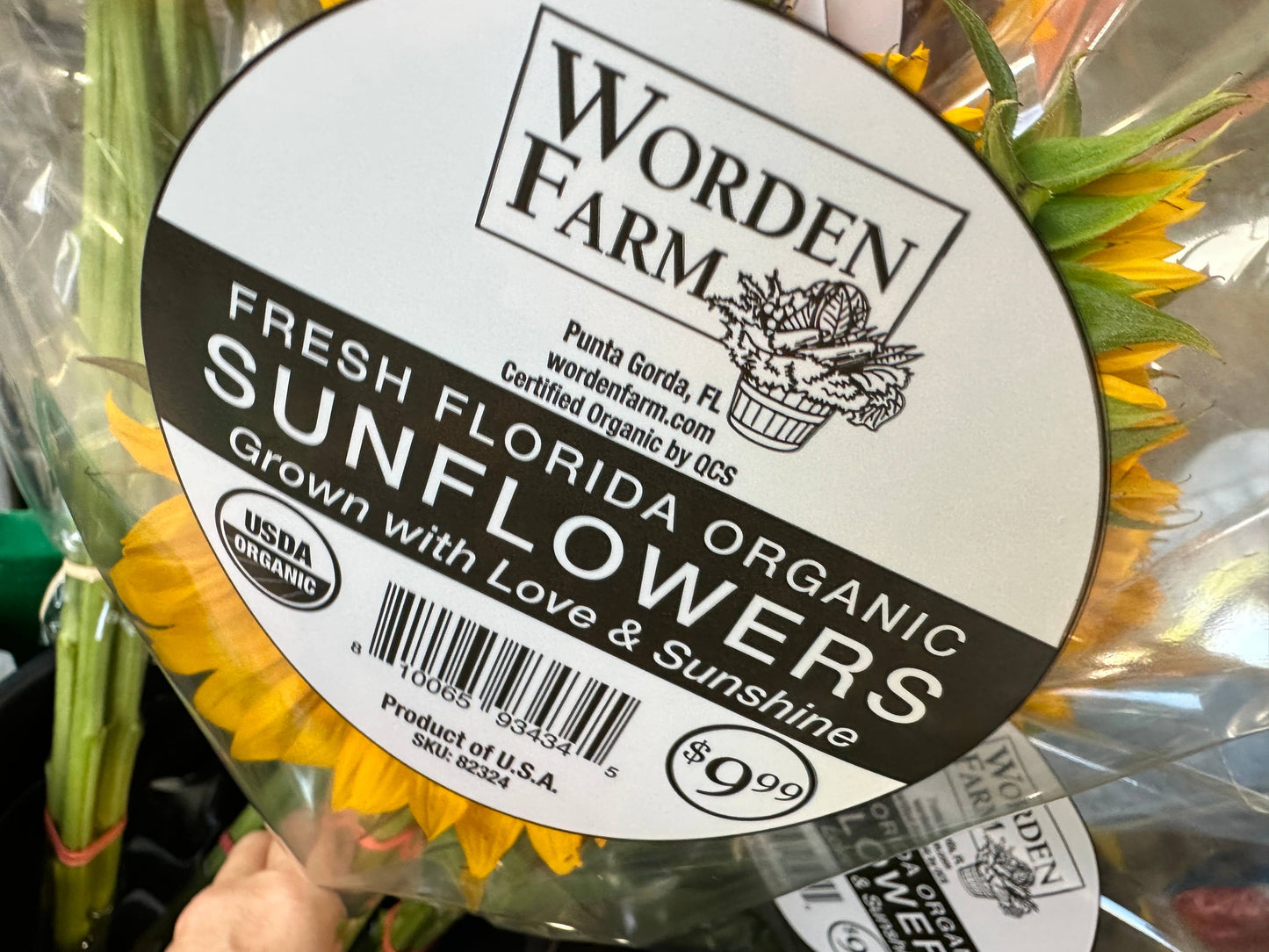 Worden Farm - Florida Farm-Fresh-Cut Organic Sunflowers - Sleeved