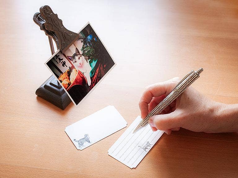 Abbott - Cat Mini Note Cards. 50 Pieces