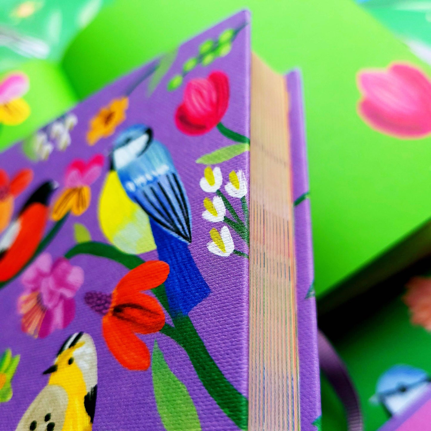 Roger La Borde - Birdhaven Illustrated Journal - AS 072