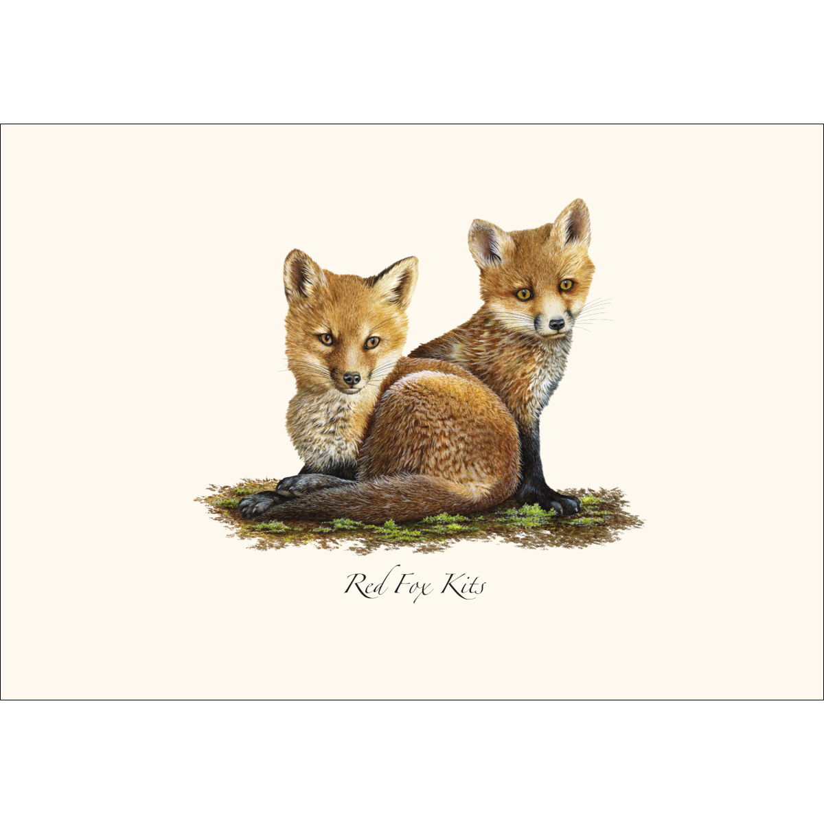 Earth Sky + Water - Red Fox Kits Notecard Set