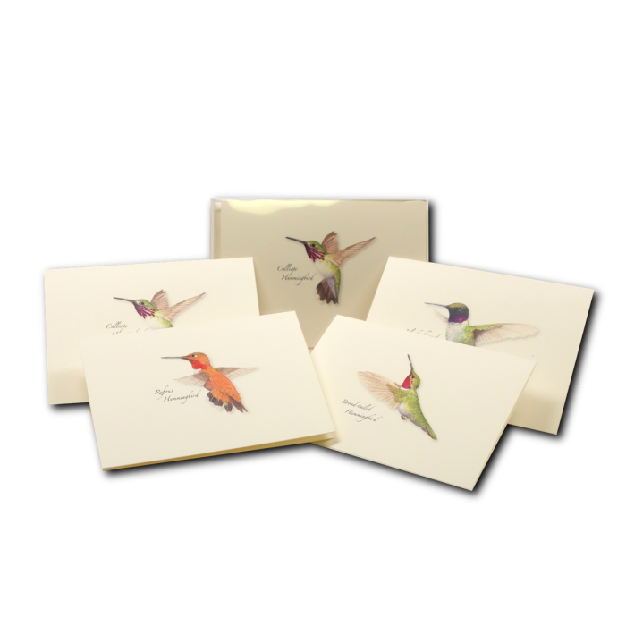 Earth Sky + Water - Western Hummingbird Assortment