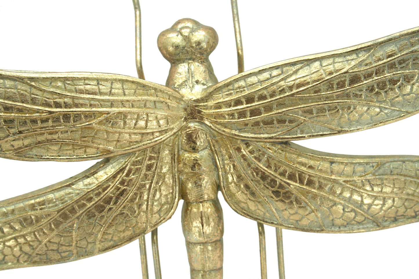Modern World by Contrast Inc. - Gold Leaf Dragon Fly: Medium