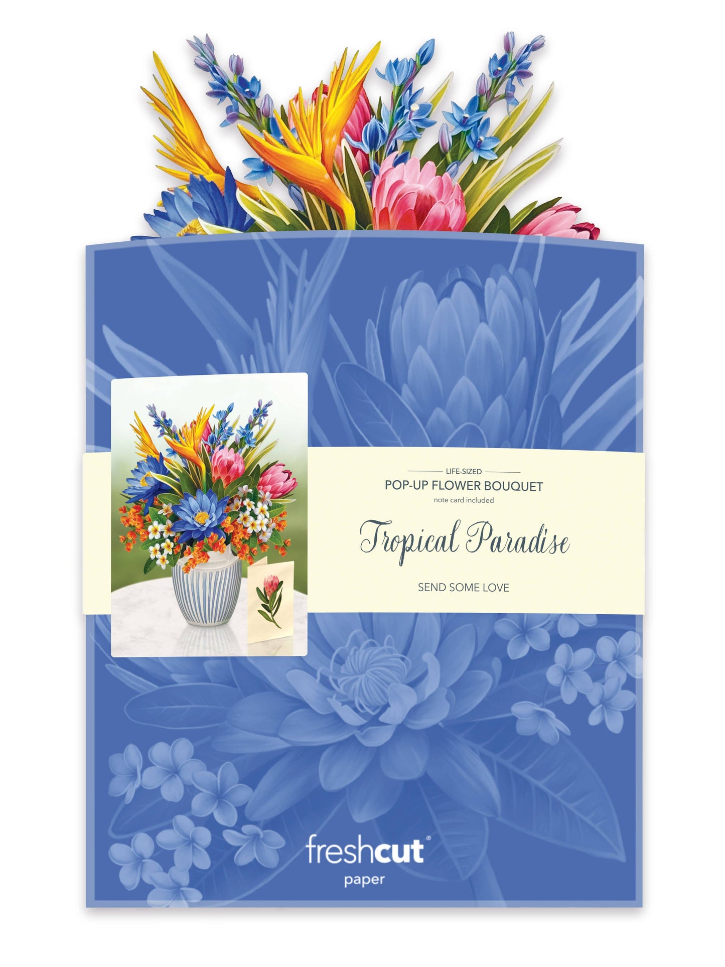 FreshCut Paper LLC - Tropical Paradise (8 Pop-up Greeting Cards)