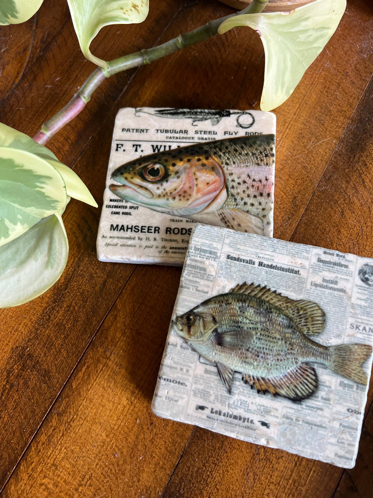 The Painted Lily - The Fisherman stone coasters - case of 4