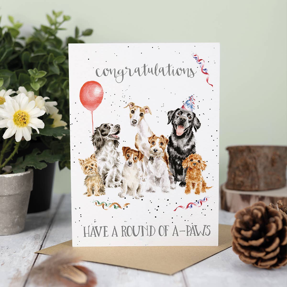 Wrendale Designs - Round of a-paws