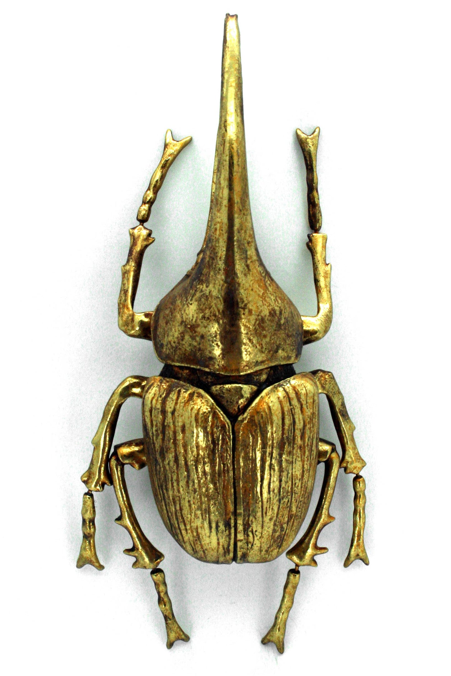 Modern World by Contrast Inc. - Gold Leafed Hercules Beetle Wall Decor