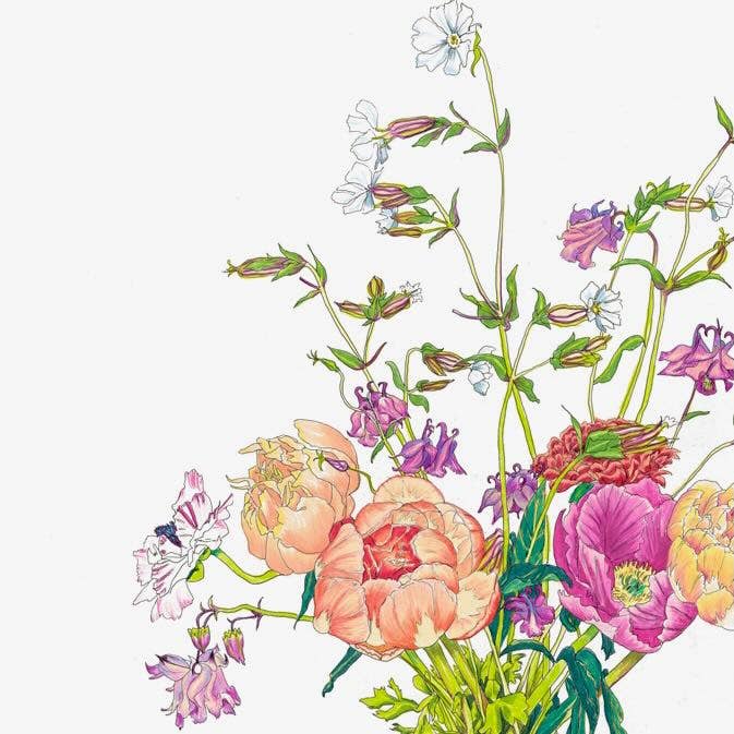 Vivid Cottage - Peonies & Catchflies - card