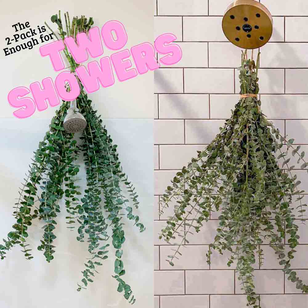 Self-Care Shower - Fresh Eucalyptus Bundle | For Shower/Vase | SAN DIEGO GROWN: Large (🎉 Bestseller)