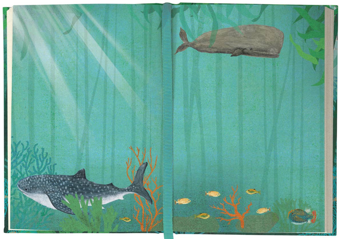 Roger La Borde - Whale Song Illustrated Journal - AS 066