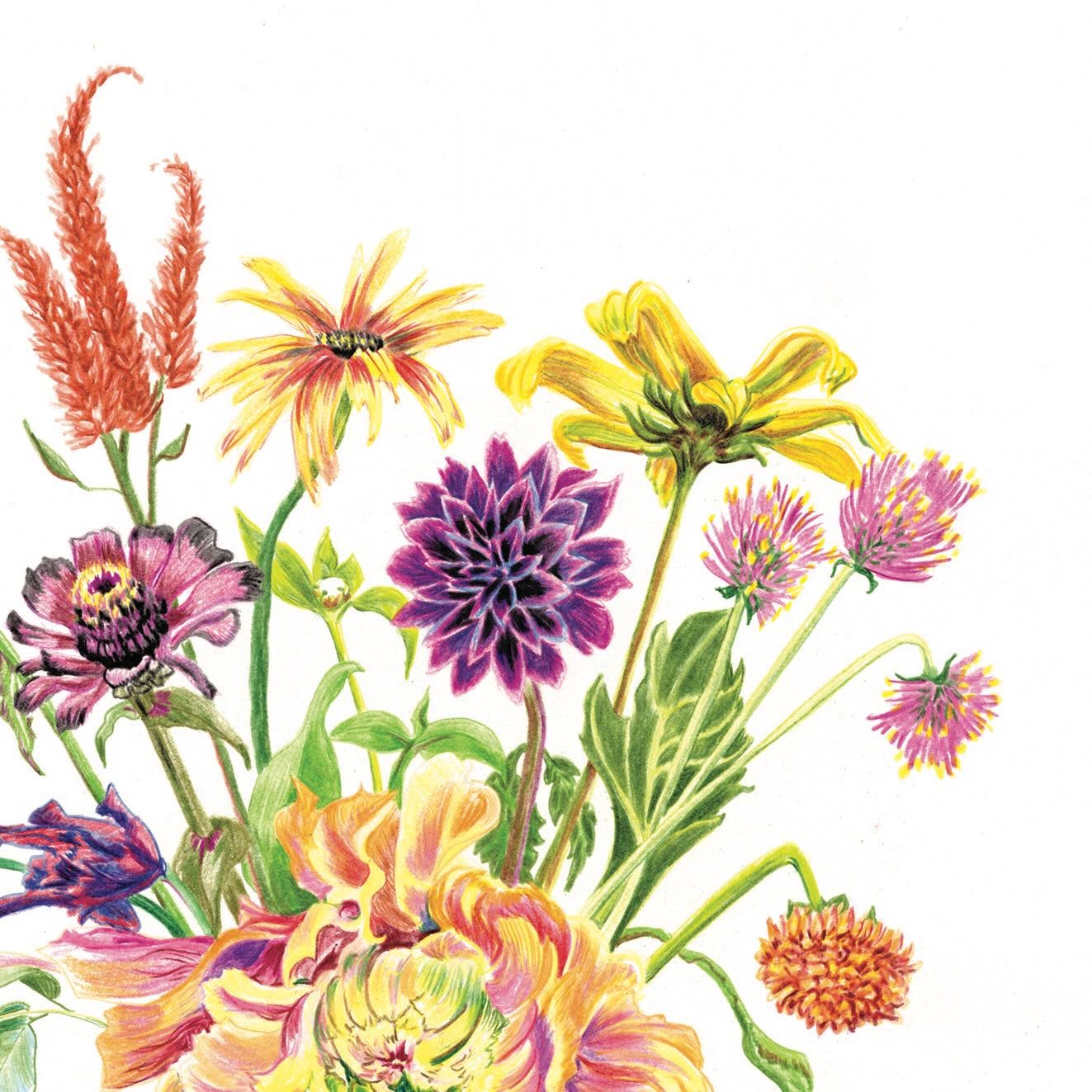 Vivid Cottage - Brightest Bouquet - card