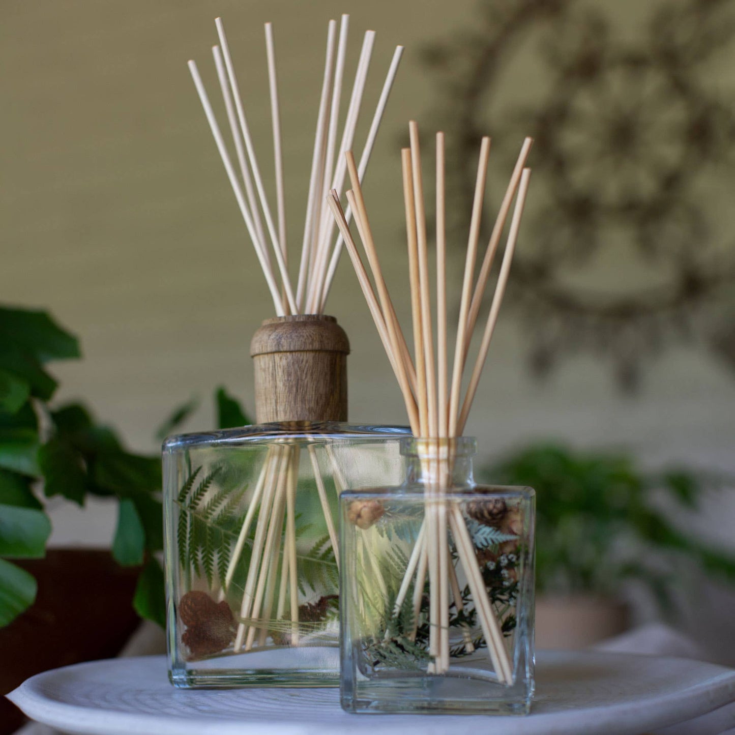 Forest 4 oz Botanical Diffuser