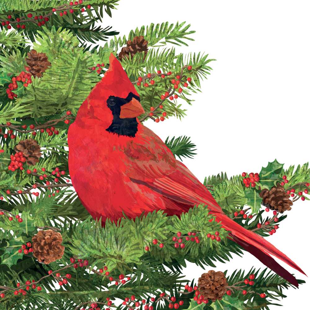 Paperproducts Design - BEV-YULETIDE CARDINAL, WHITE