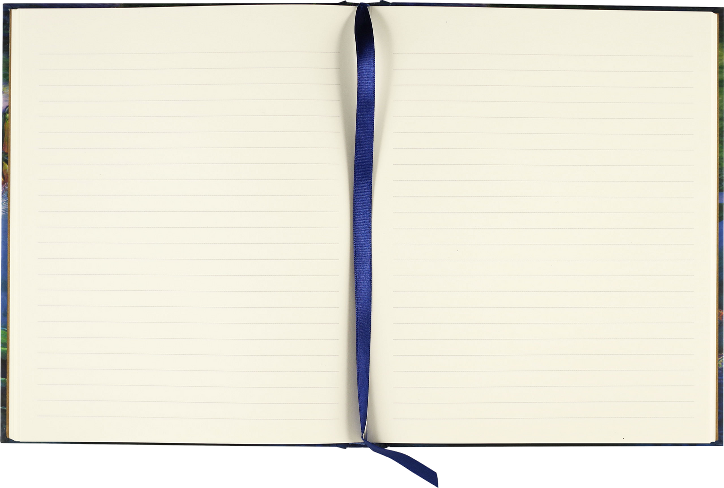 Peter Pauper Press - Hummingbird Dreams Journal