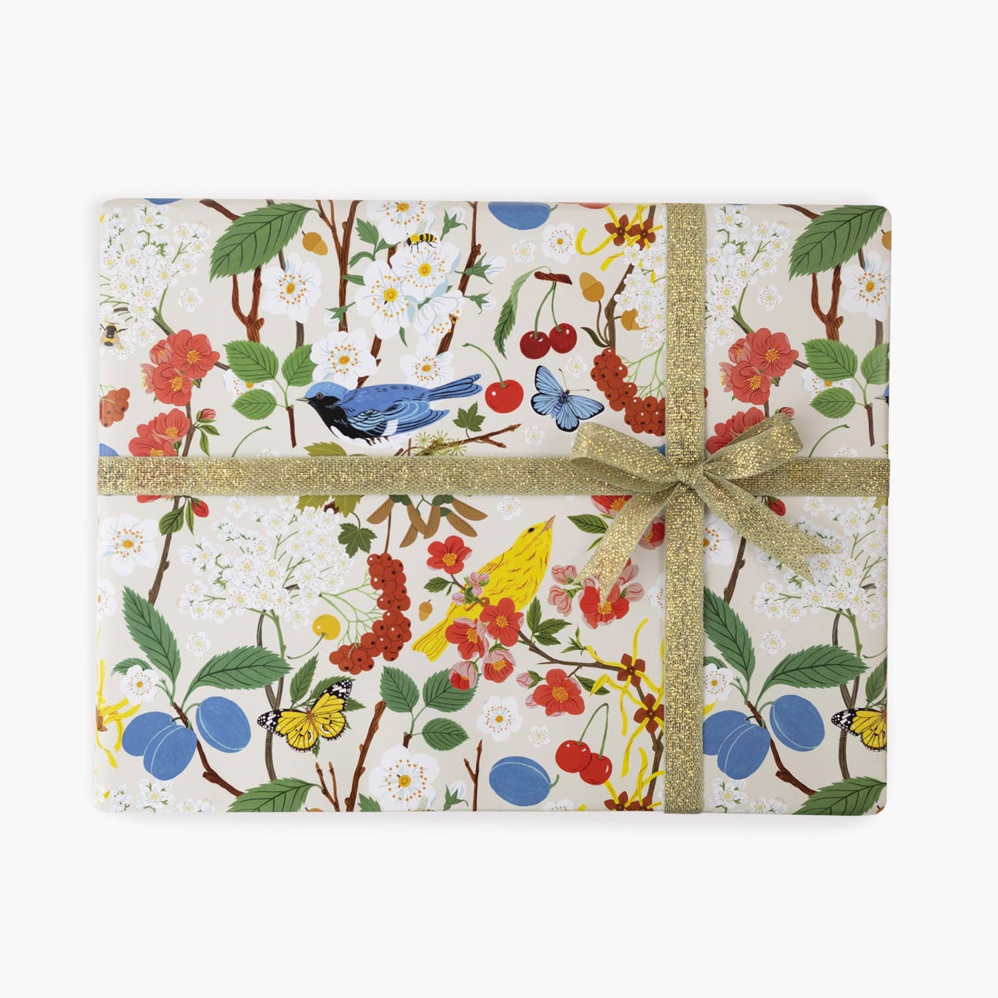 Botanica Paper Co. - TREE CHATTER | Double Sided Wrapping Paper Single Sheets