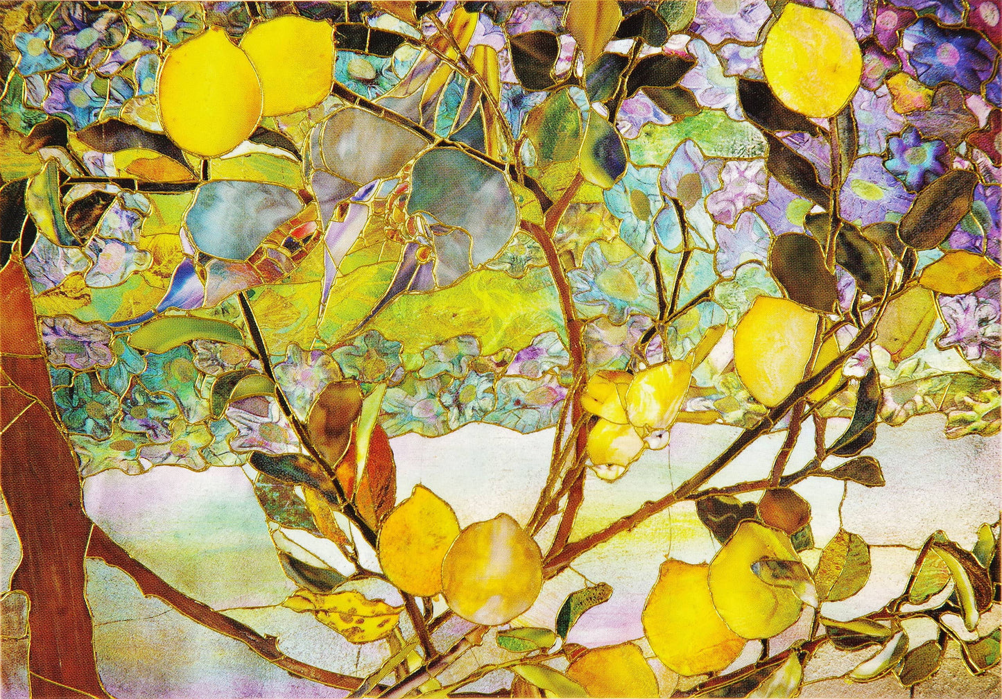 Peter Pauper Press - Tiffany Lemon Tree Note Cards