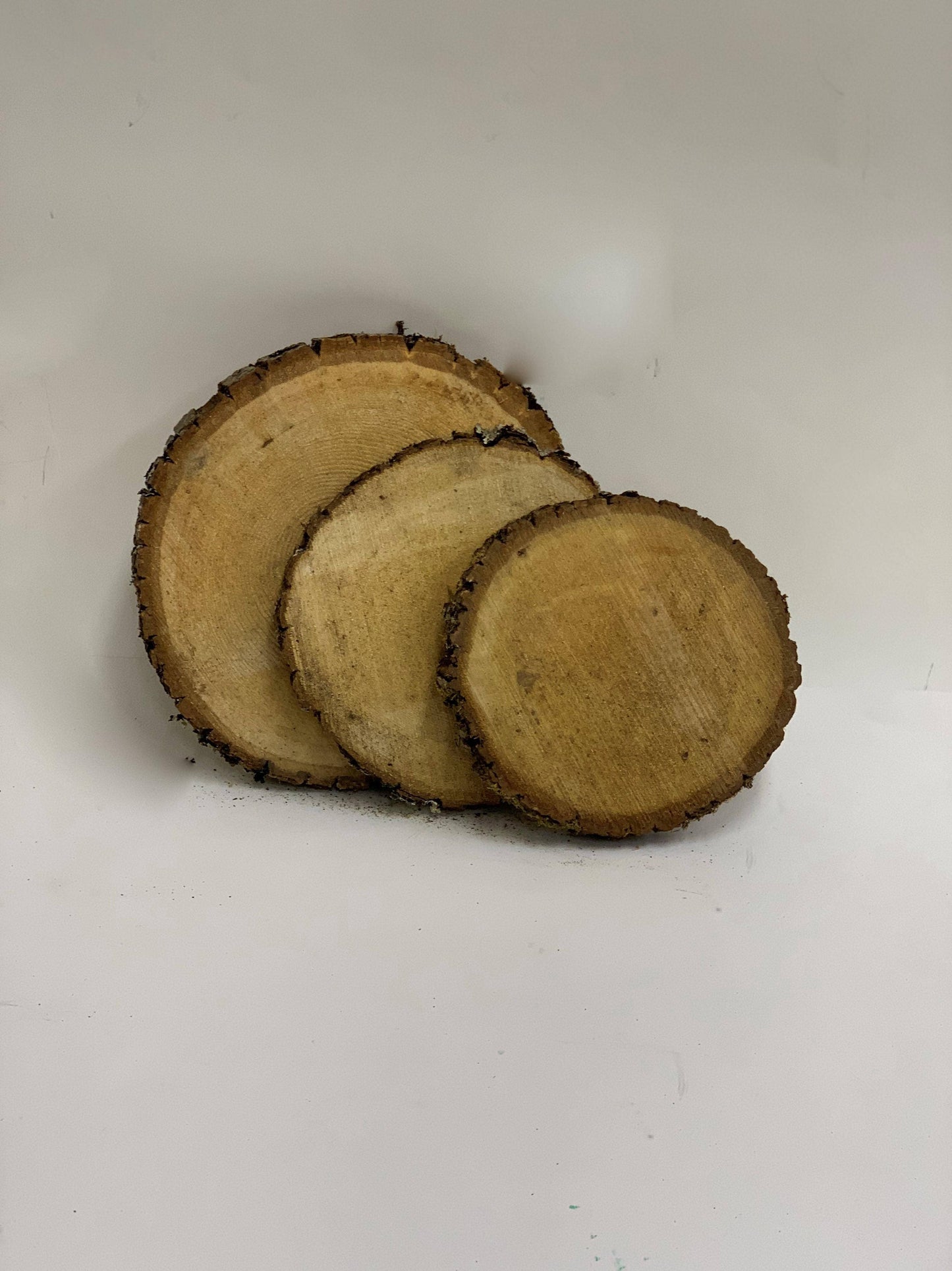 Winter Woods - 8" Basswood Disk