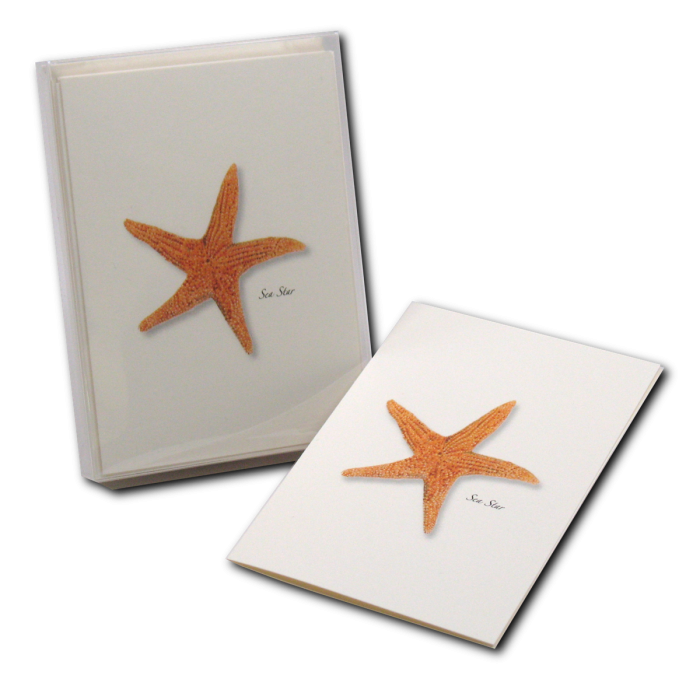 Earth Sky + Water - Sea Star Assorted Notecard Set