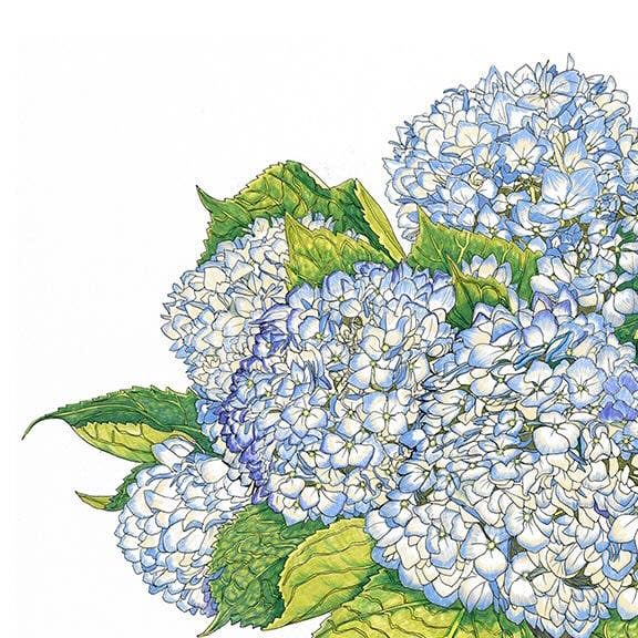 Vivid Cottage - Nantucket Blooms - card