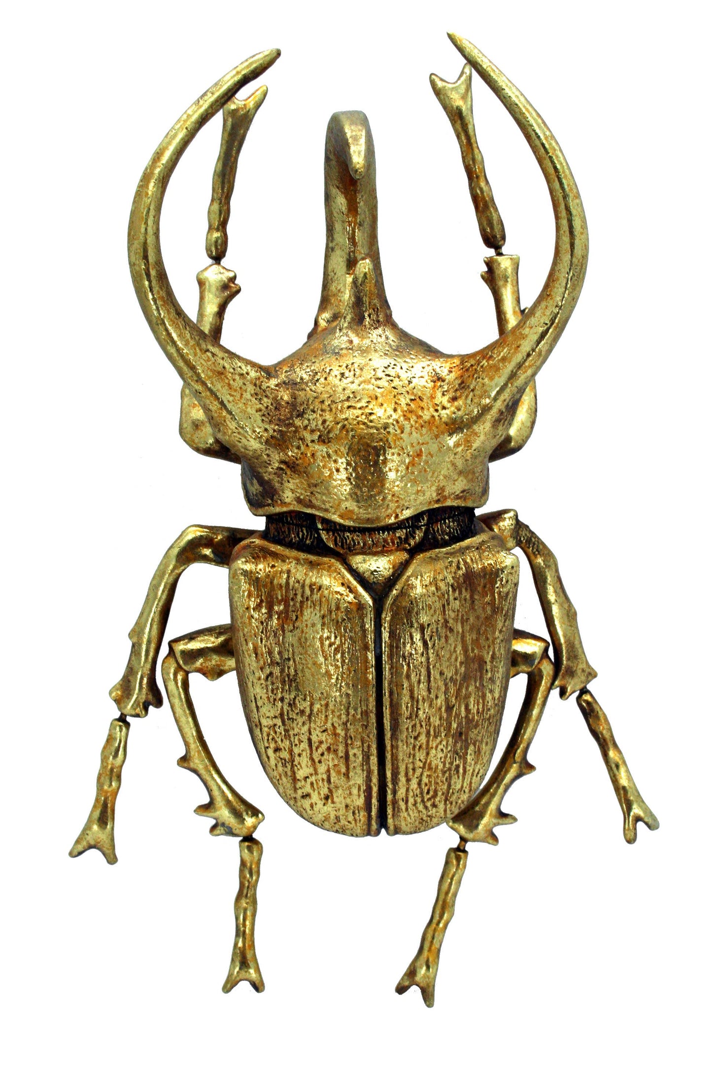Modern World by Contrast Inc. - Gold Leafed Rhino Beetle Wall Decor