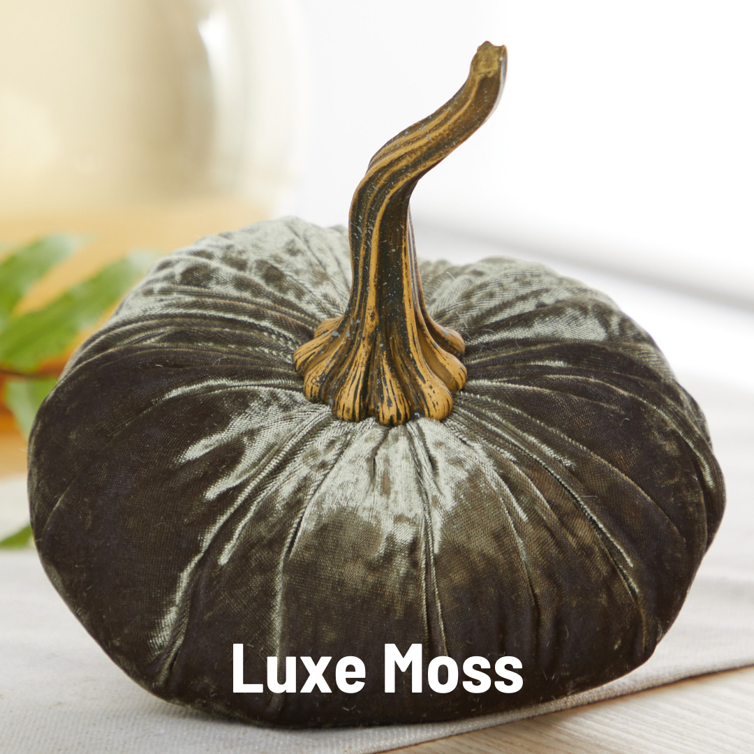 Your Heart's Content - Pumpkin Large Velvet, Fall Decor, Shelf Sitter, Tablescape: Avocado