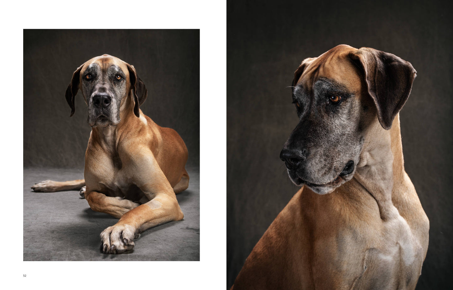 Chronicle Books - Year of the Dogs