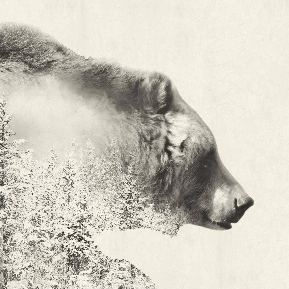 Paperproducts Design - LUNCH- MAJESTIC BEAR