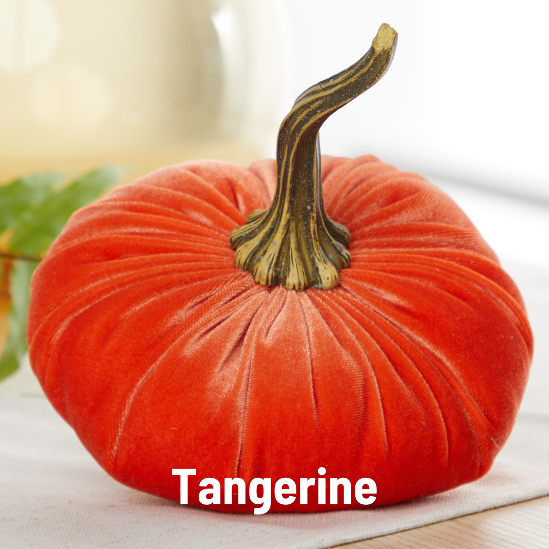 Your Heart's Content - Pumpkin Large Velvet, Fall Decor, Shelf Sitter, Tablescape: Luxe Indigo