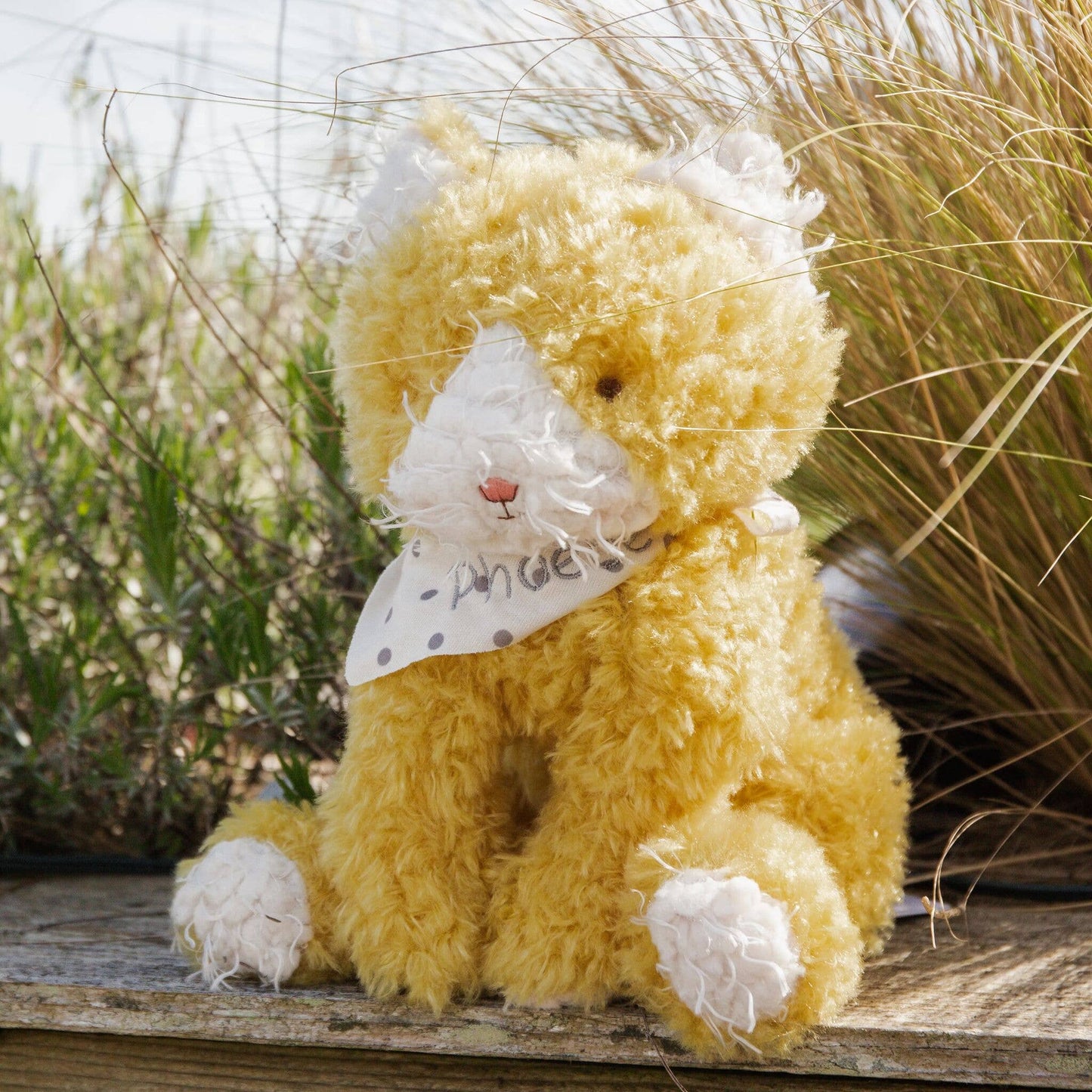 Bunnies By the Bay - Alley Cat