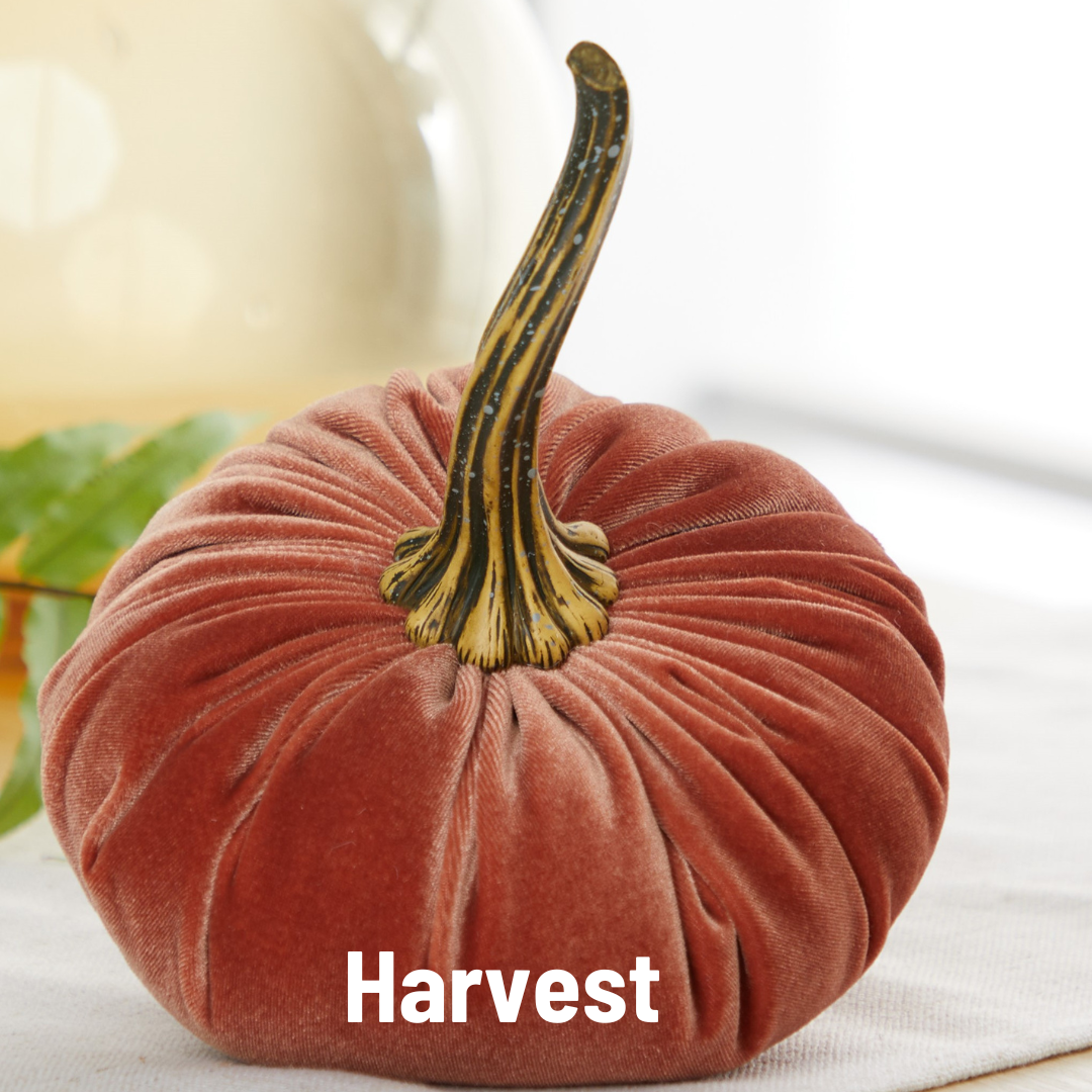 Your Heart's Content - Pumpkin Large Velvet, Fall Decor, Shelf Sitter, Tablescape: Avocado