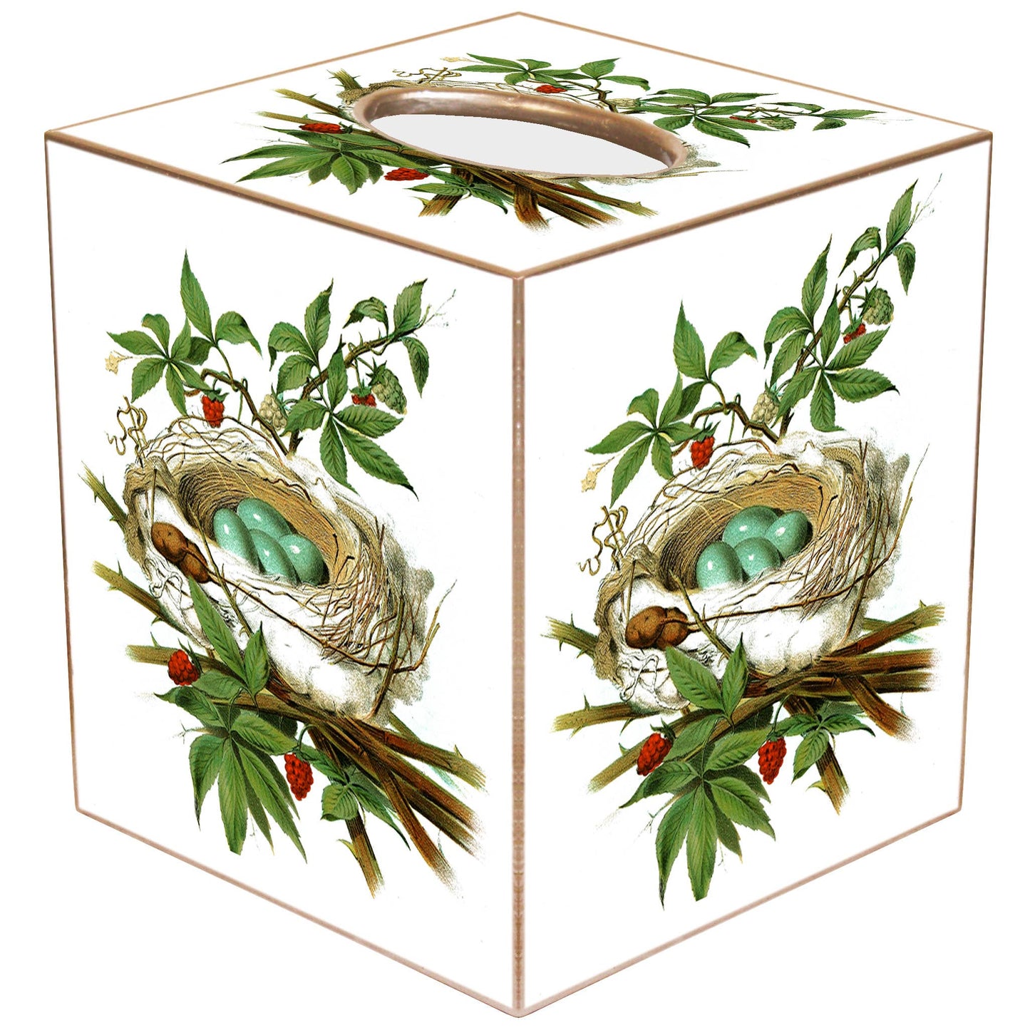 Marye-Kelley - TB7938-Catbird Nest Tissue Box: Paper Mache