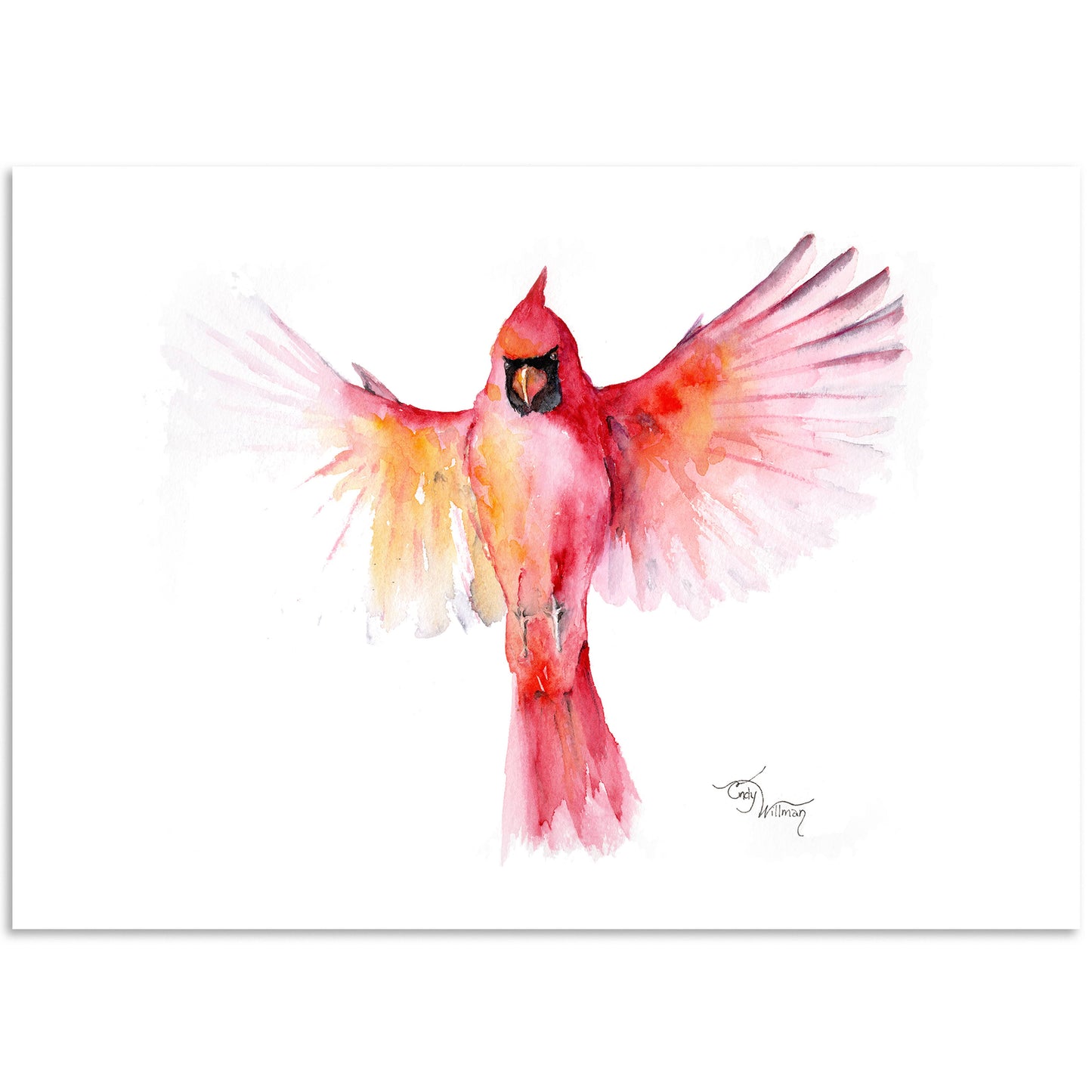 Moonlight & Grace - Northern Cardinal landing