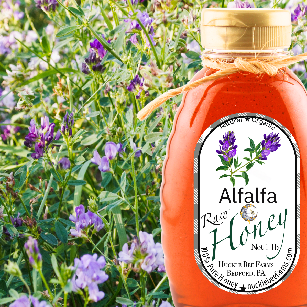 Huckle Bee Farms LLC - Raw Alfalfa Honey: 1 lb Bottle