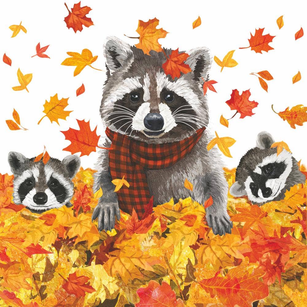 Paperproducts Design - BEV-ROCKY & FRIENDS