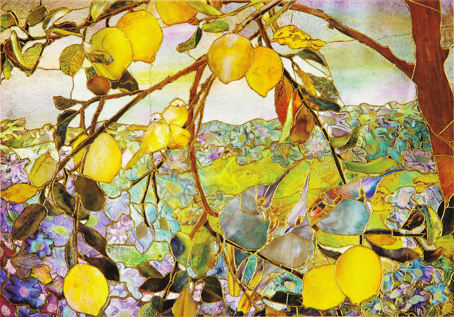 Peter Pauper Press - Tiffany Lemon Tree Note Cards