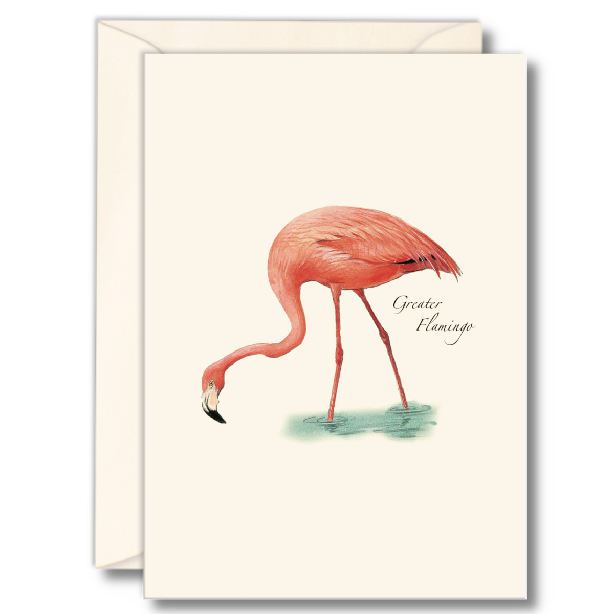 Earth Sky + Water - Flamingo