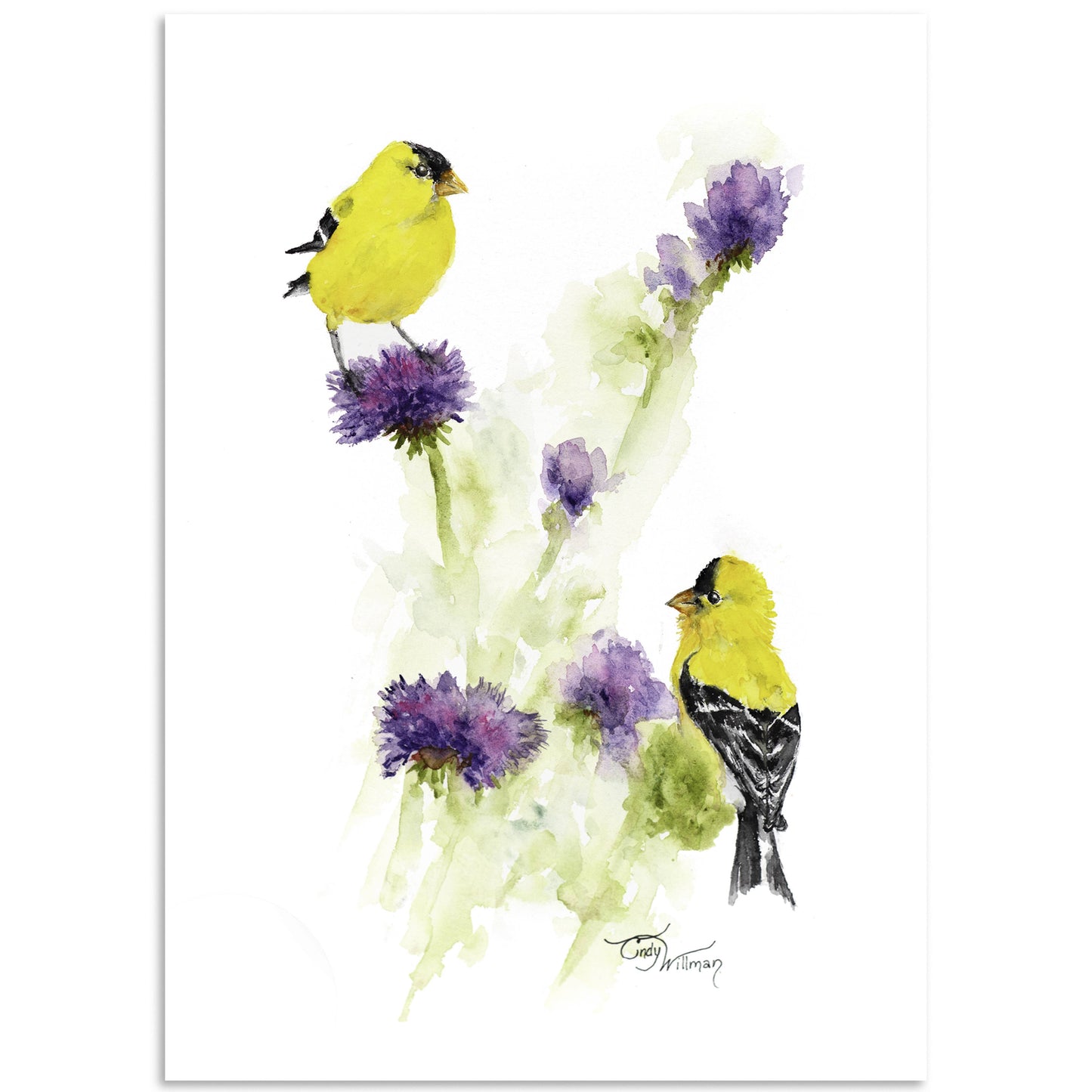 Moonlight & Grace - American Goldfinches