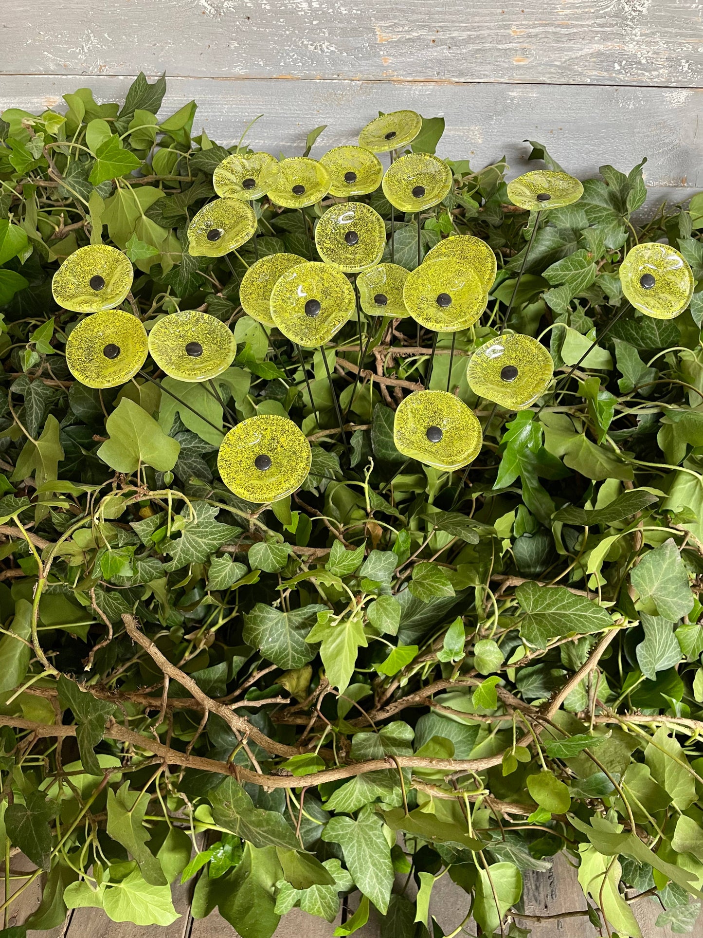 CARNEOL GLASS - Small Glass Flower For Inside In Transp.-A.Green
