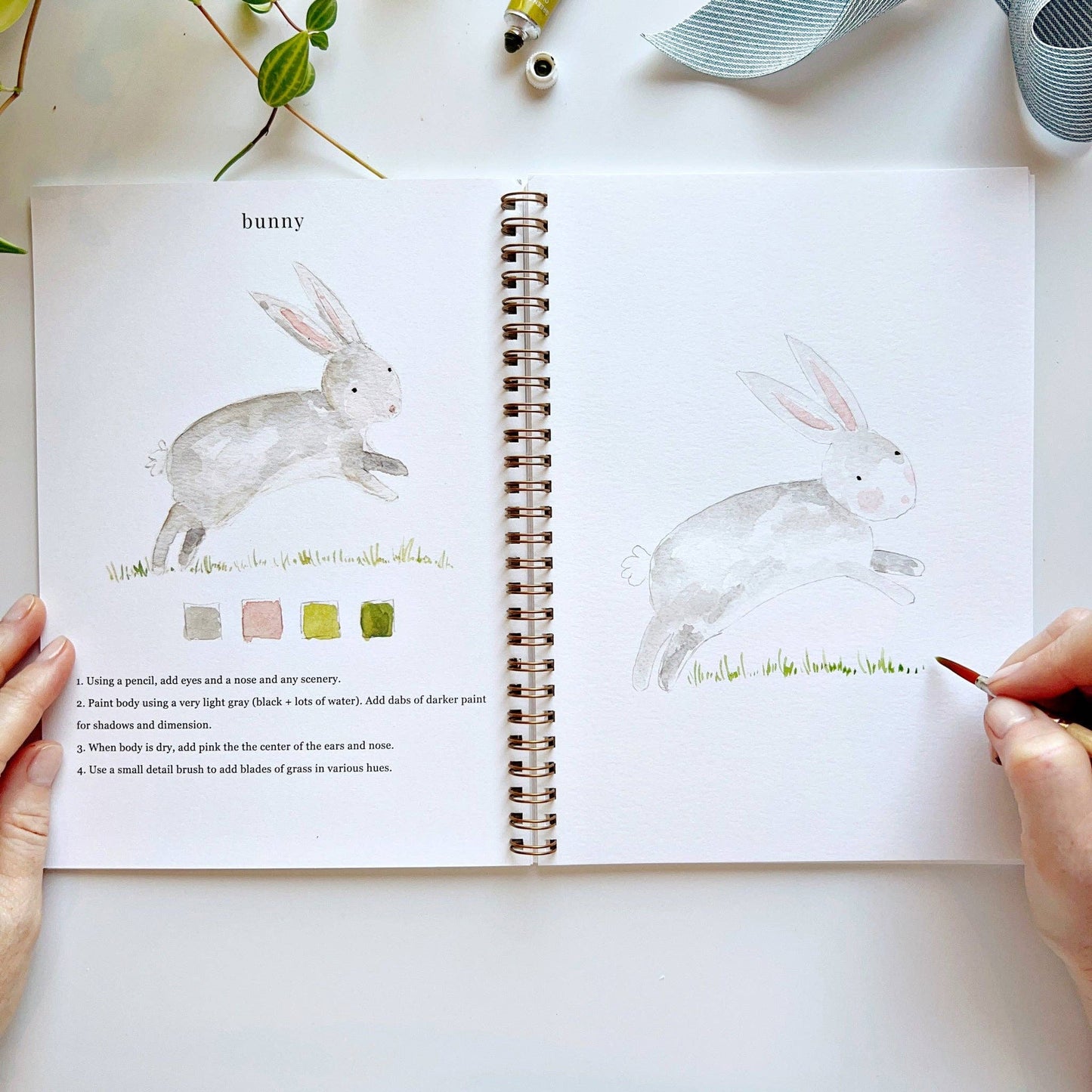 emily lex studio - Animals watercolor workbook presale