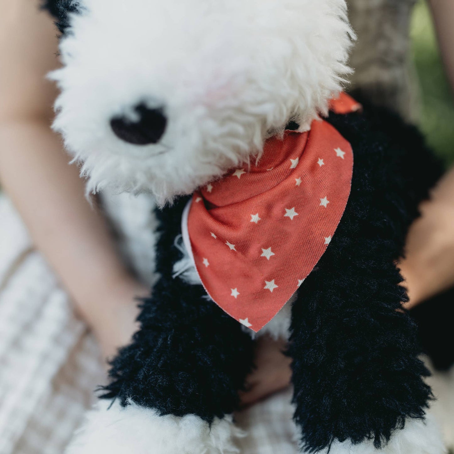 Bunnies By the Bay - Pepper the Farm Dog