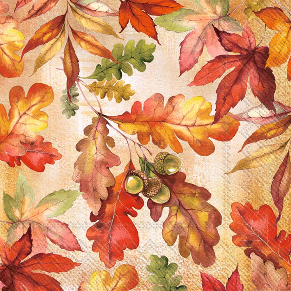 Boston International - Paper Cocktail Napkin 20 Ct Bright Autumn Fall Autumn